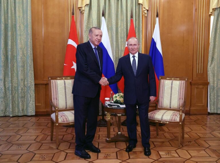 أردوغان يعرض وساطة تركيا على بوتين بشأن محطة زابوريجيا النووية في أوكرانيا