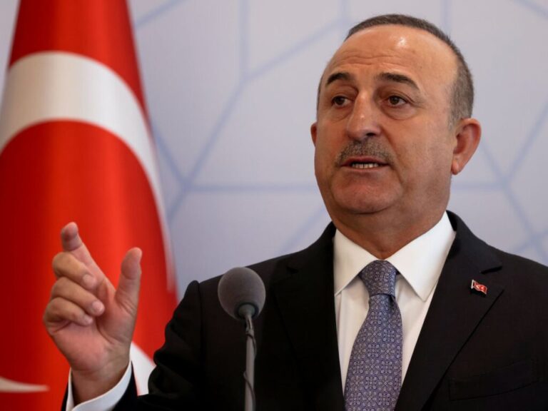 تركيا تندد بقرار أمريكي يجيز بيع الأسلحة لقبرص