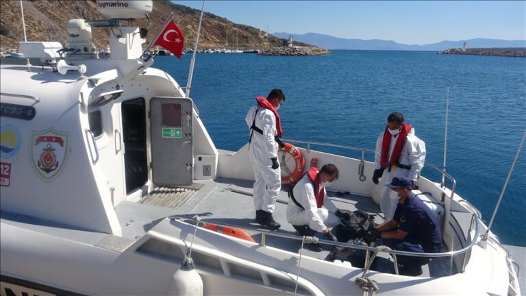 مصرع 6 مهاجرين غير شرعيين إثر غرق قاربهم قبالة سواحل تركيا