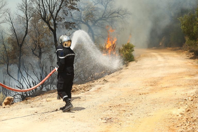 “عواقب وخيمة على البيئة” و محاولات مستمرة لإخماد حرائق تونس